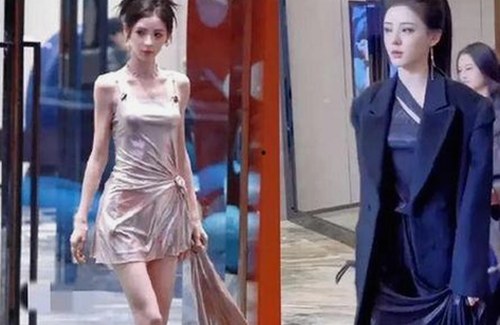 娱乐圈多起事件汇总：幕后真相与明星动态全解析